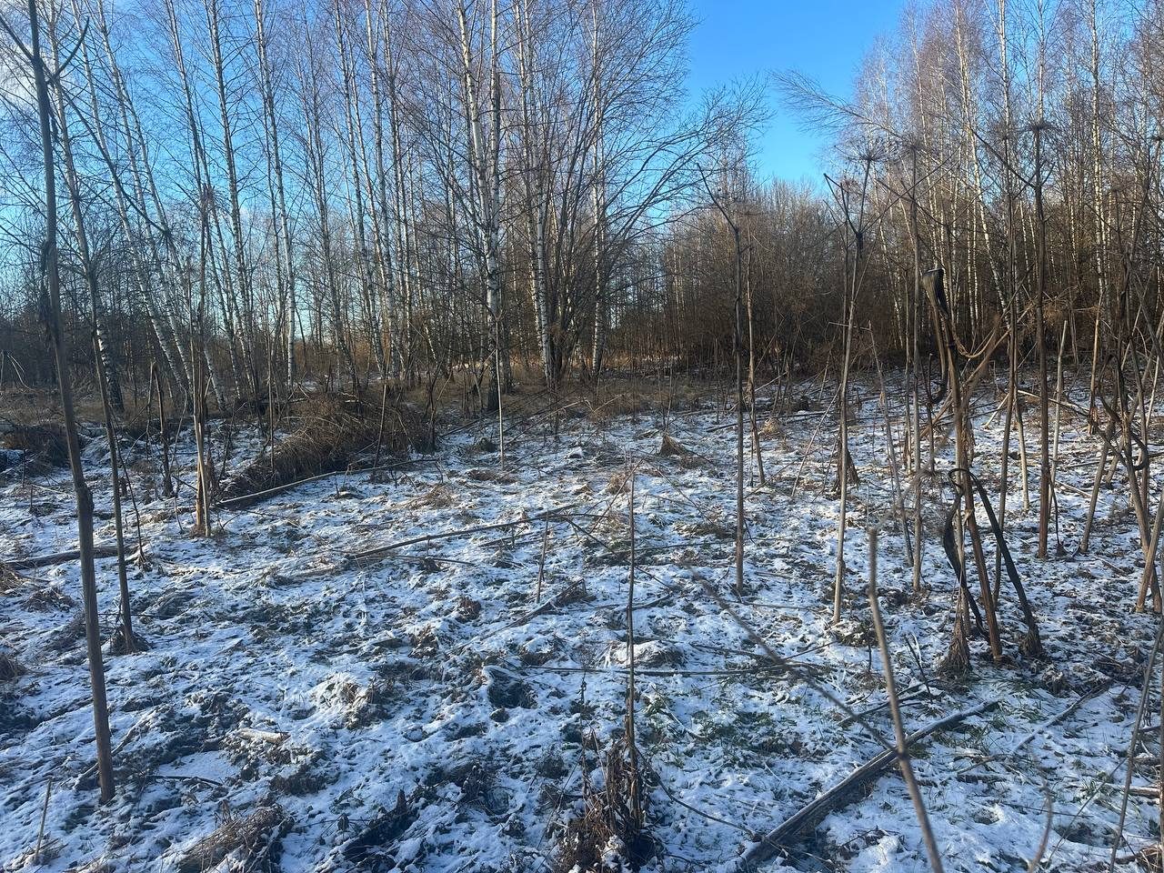 Аукцион в отношении земельного участка с КН 50:19:0050319:1035