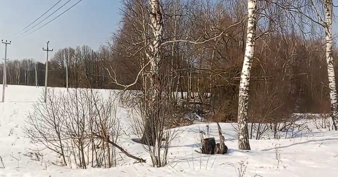 Аукцион в отношении земельного участка с КН 50:31:0010902:637