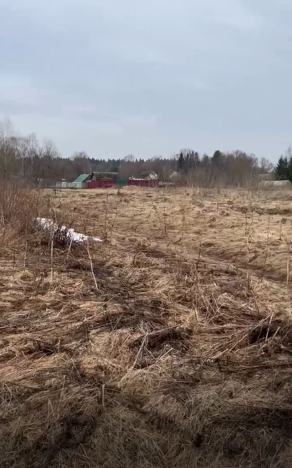 Аукцион в отношении земельного участка с КН 50:18:0090203:830