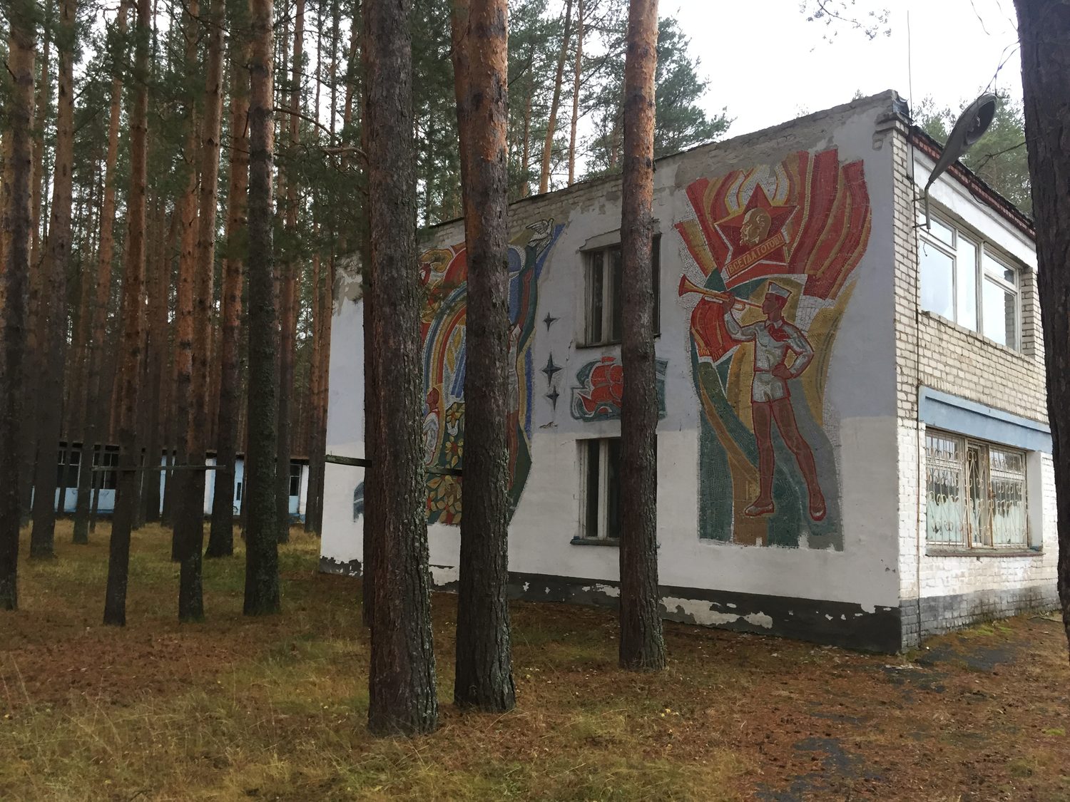 Комплекс им-ва, расположенный: Нижегородская обл, р-н Вадский, д Костино, Детск…