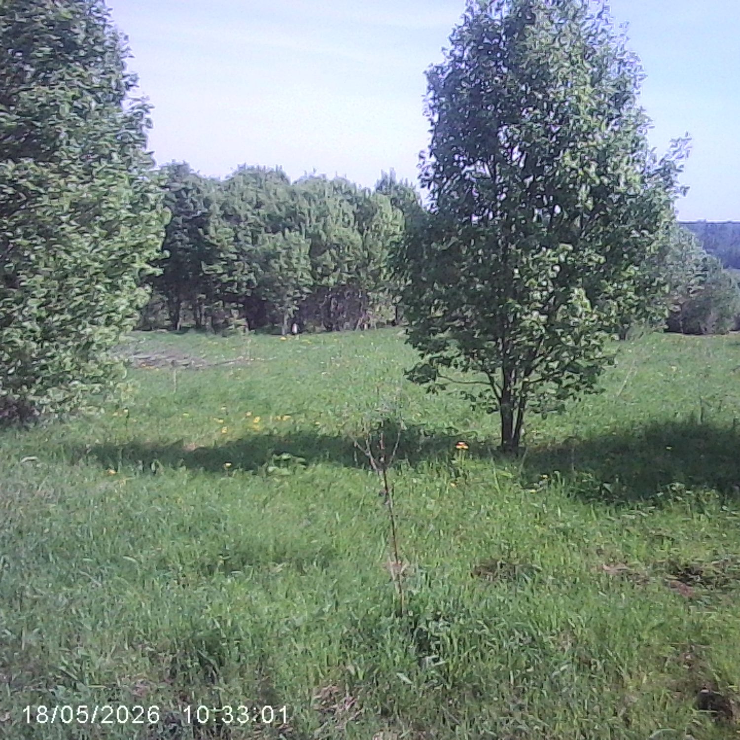 Аукцион в отношении земельного участка с КН 50:06:0090504:678