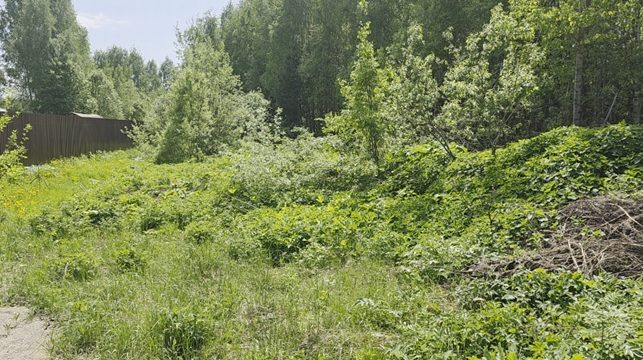 Аукцион в отношении земельного участка с КН 50:14:0010312:390