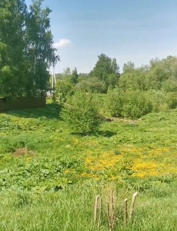 Аукцион в отношении земельного участка с КН 50:36:0050301:574