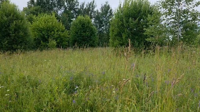 Аукцион в отношении земельного участка с КН 50:14:0010208:584
