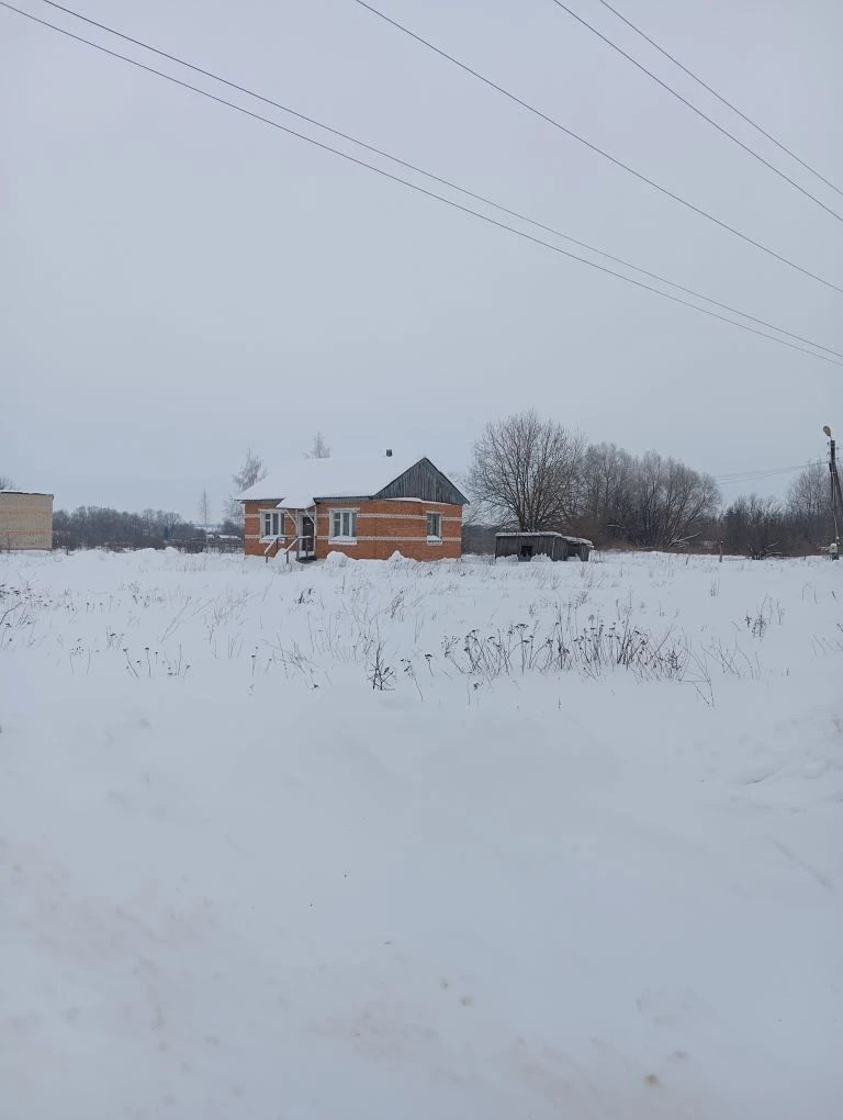 Основное строение