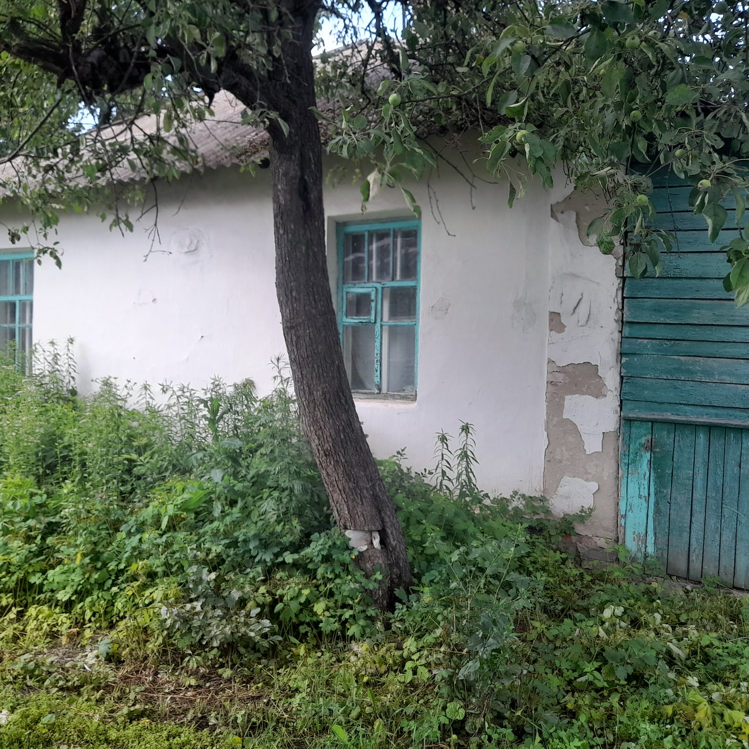Жилое помещение, назначение: жилое, общей площадью 38 кв.м., кадастровый номер …