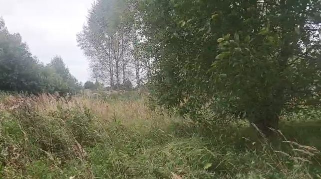 Аукцион в отношении земельного участка с КН 50:14:0010209:622