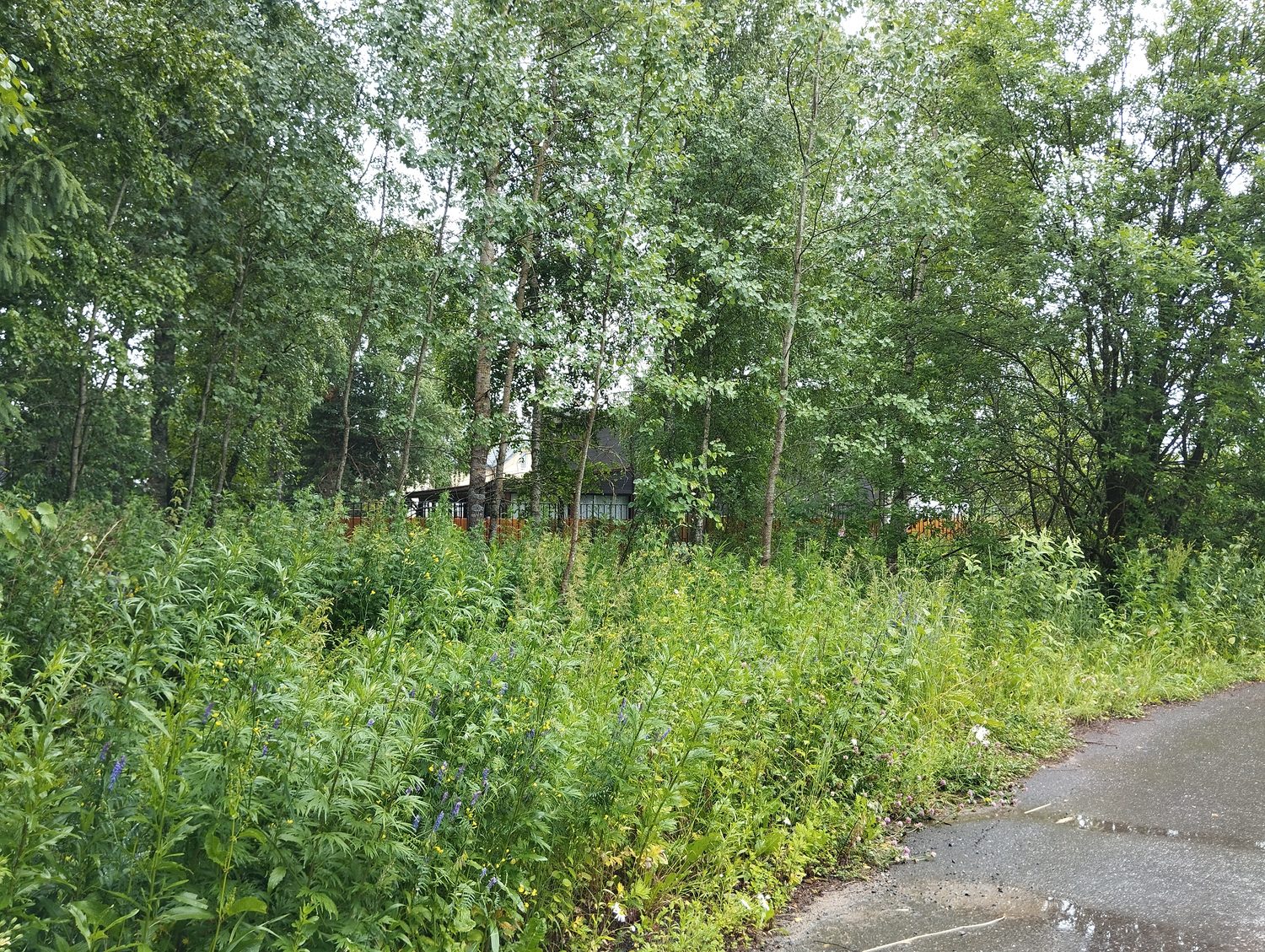 Аукцион в отношении земельного участка с КН 50:20:0100912:1348