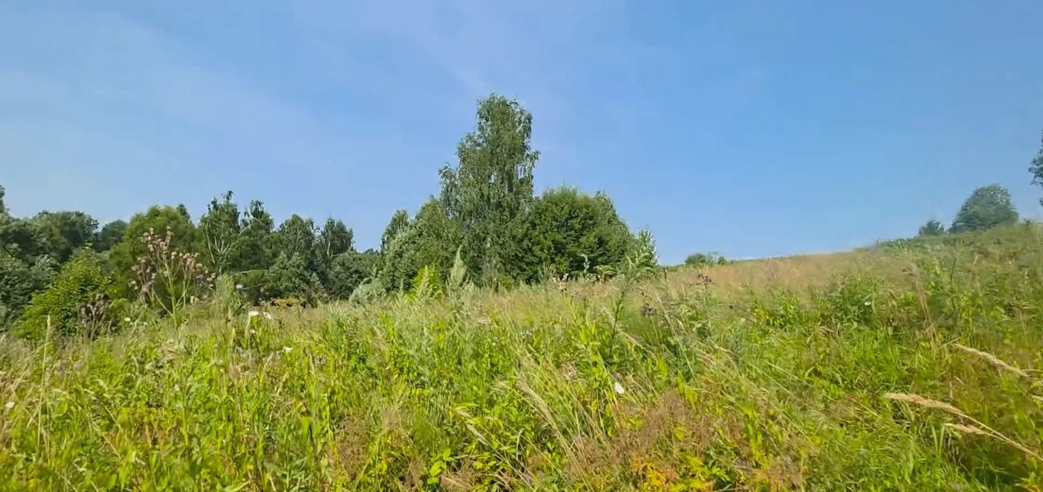 Аукцион в отношении земельного участка с КН 50:03:0060409:509