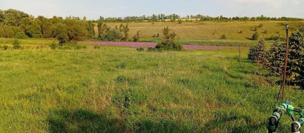 извещение о возможности предоставления в аренду земельного участка