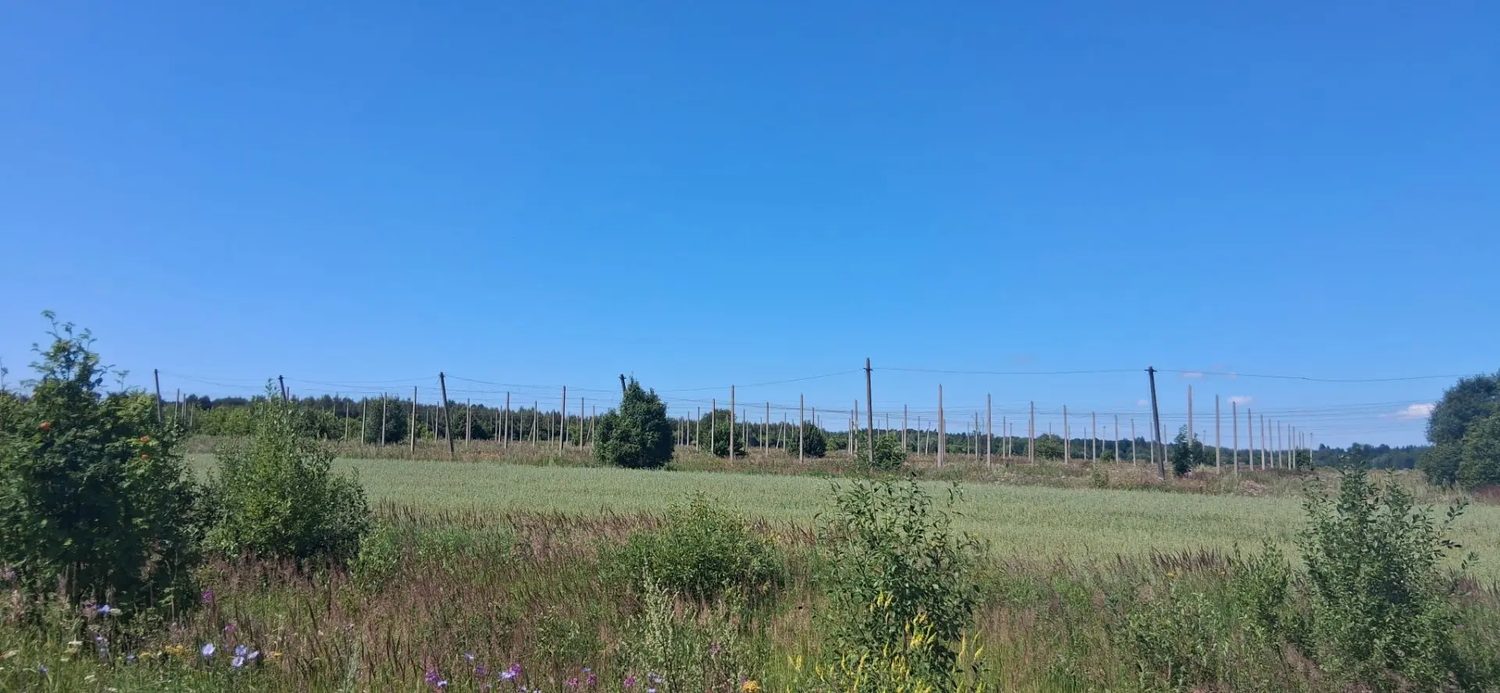 Железобетонные столбы под хмельники, бывшие в употреблении в количестве 193 шт.…