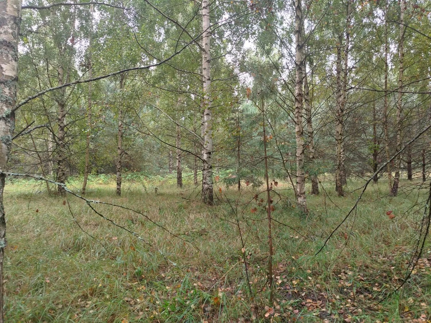 Предметом аукциона в электронной форме является право на заключение договора ар…