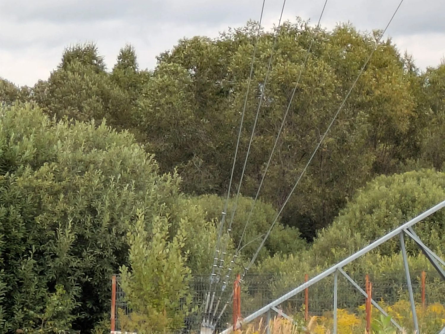 Земельный участок площадью 1519 кв.м, местоположение: Московская область, г.о. …