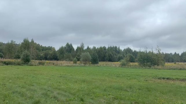 Аукцион в отношении земельного участка с КН 50:14:0010208:601