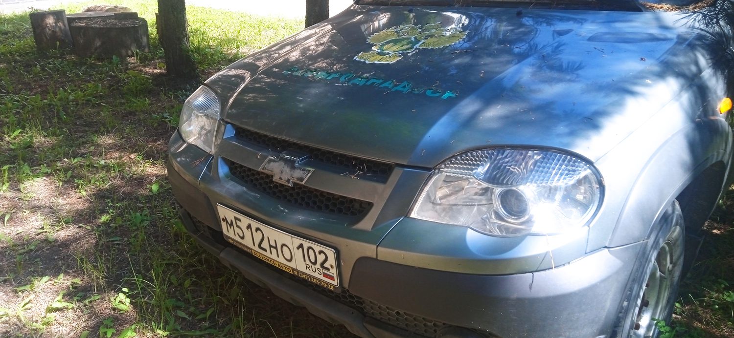Автомобиль CHEVROLET NIVA 212300-55, 2010 года выпуска
