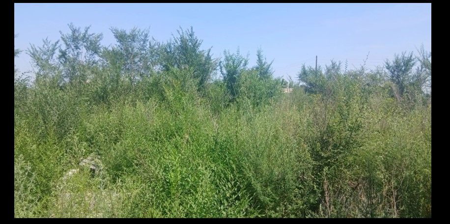 Продажа находящегося в федеральной собственности земельного участка площадью 29…