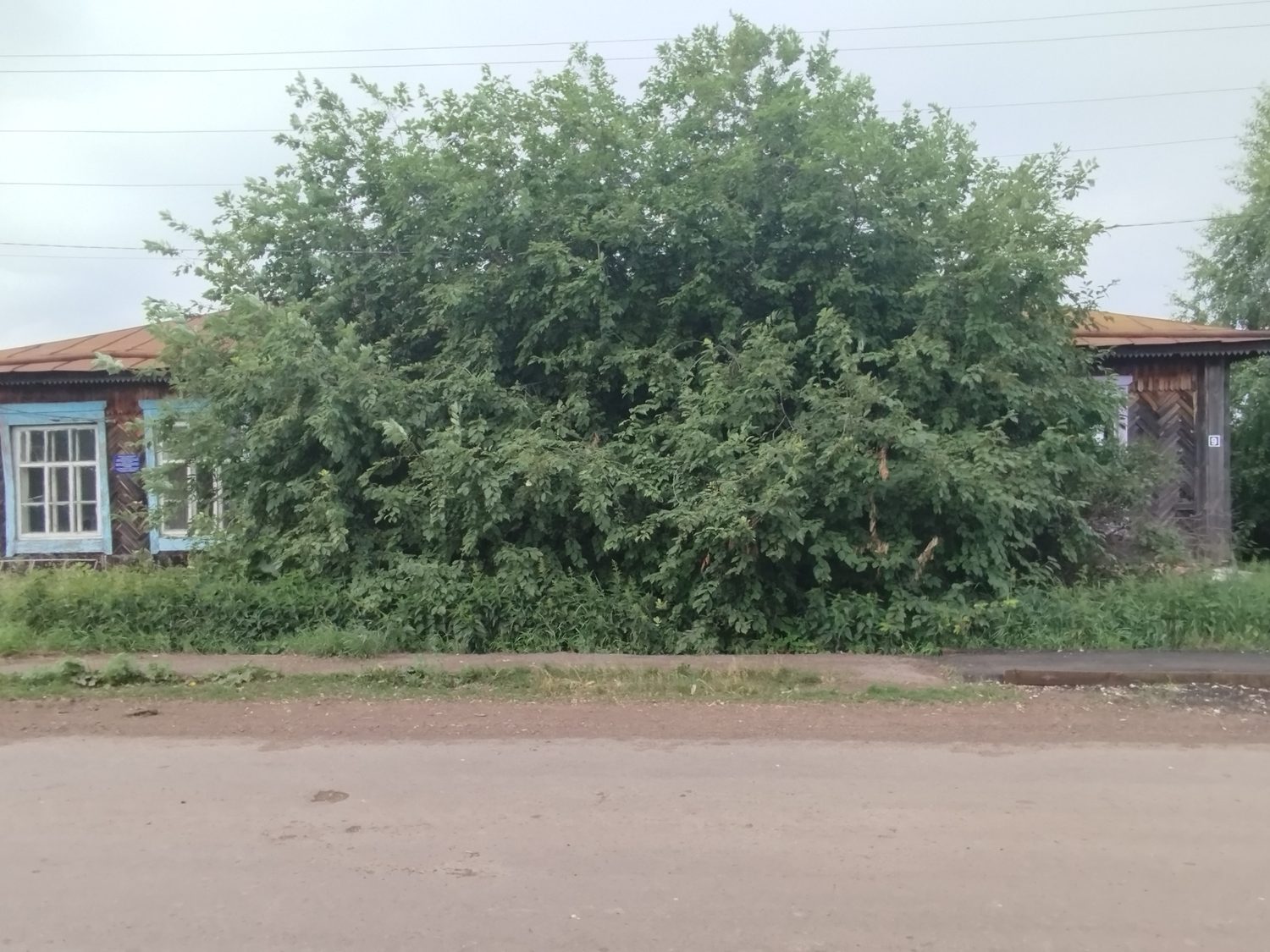 Нежилое помещение (реестровый номер имущества - 138), общей площадью 157 кв.м.,…