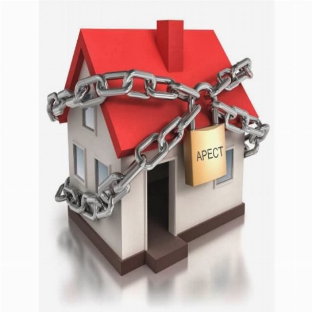 Доля в уставном капитале 100 %, ООО "Каутинг Хаус", ИНН 2725097138. Регистрацио…