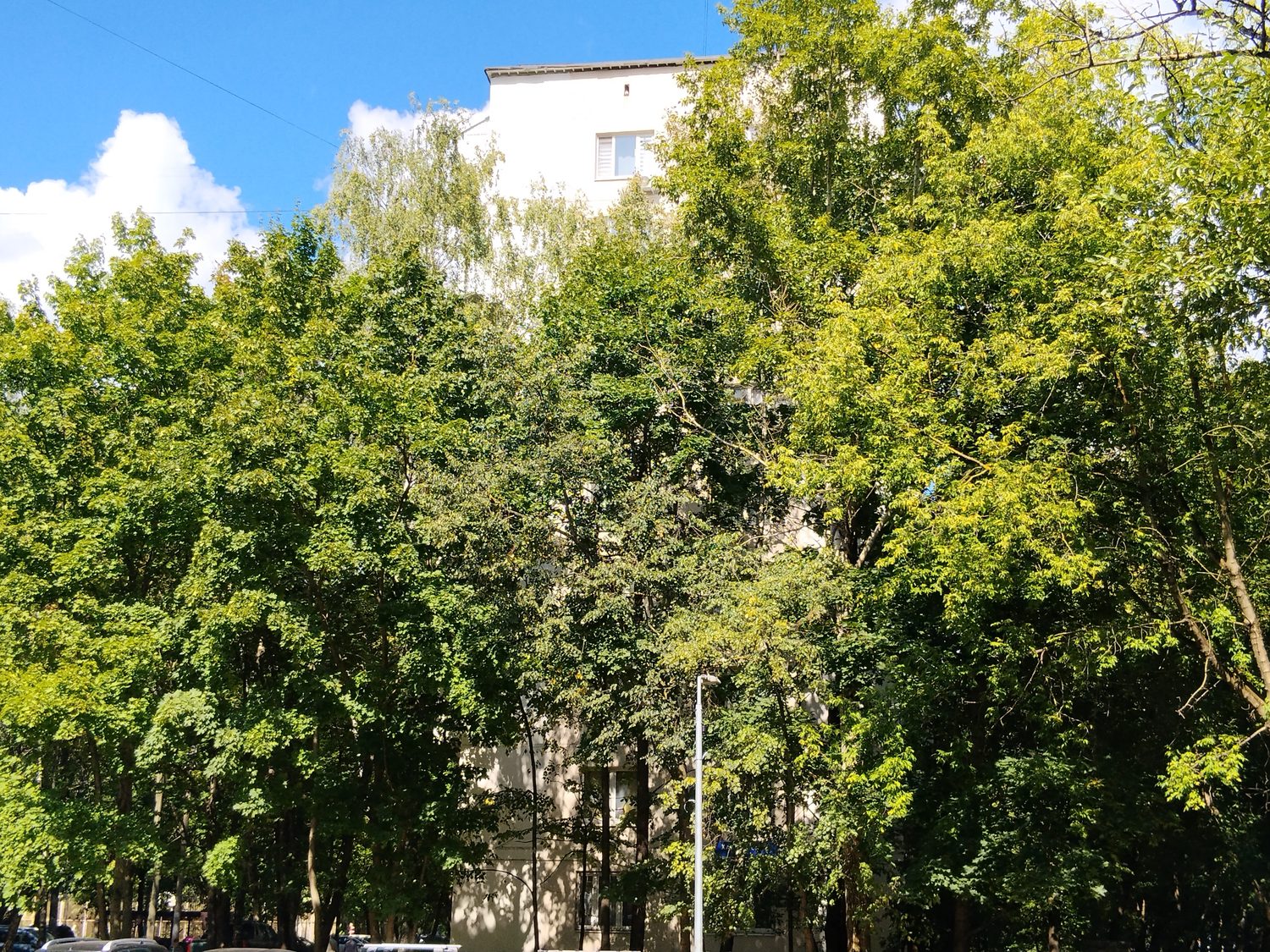 Продажа имущества, находящегося в собственности города Москвы, жилое помещение …