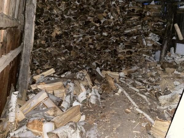 Древесина породы "Береза" 43.028 Куб.м. (колотая в виде поленьев)