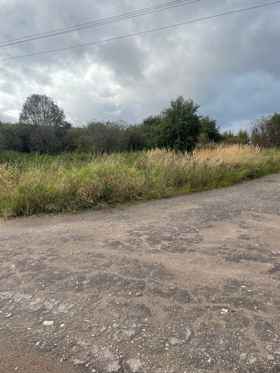 Нежилое здание (скотный двор (ранее «Телятник») оставшаяся часть разрушенного з…