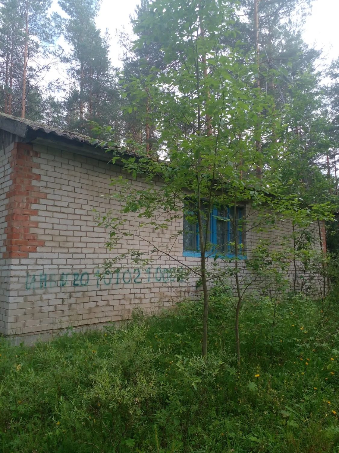 Нежилое здание (кардон), площадь 57,2 кв.м; земельный участок, площадь 3953 кв.…