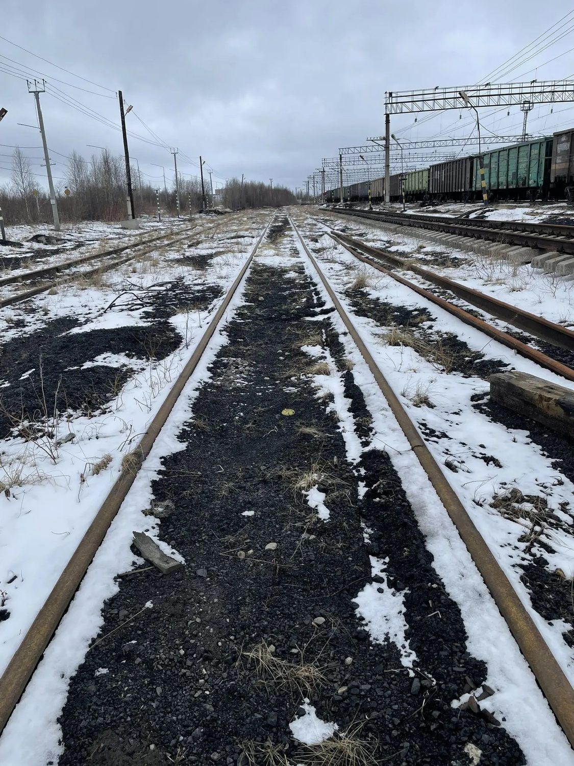 сооружение - Верхнее строение пути станции Оленегорск (путь № 16), кадастровый …