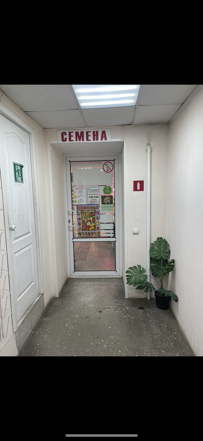 Нежилое помещение, площадью 230,4 кв.м, кадастровый №24:50:0700193:4249, распол…