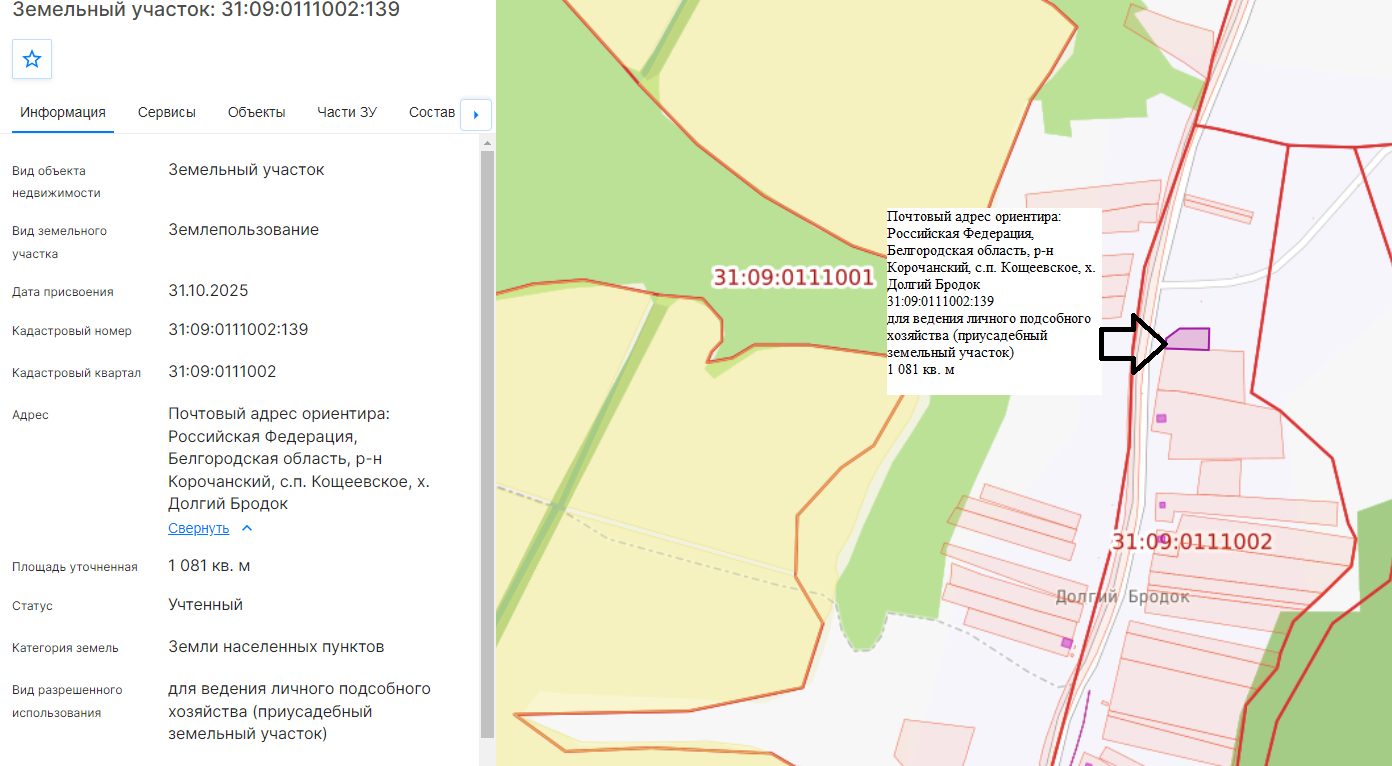 Земельный участок с кадастровым номером 31:09:0111002:139