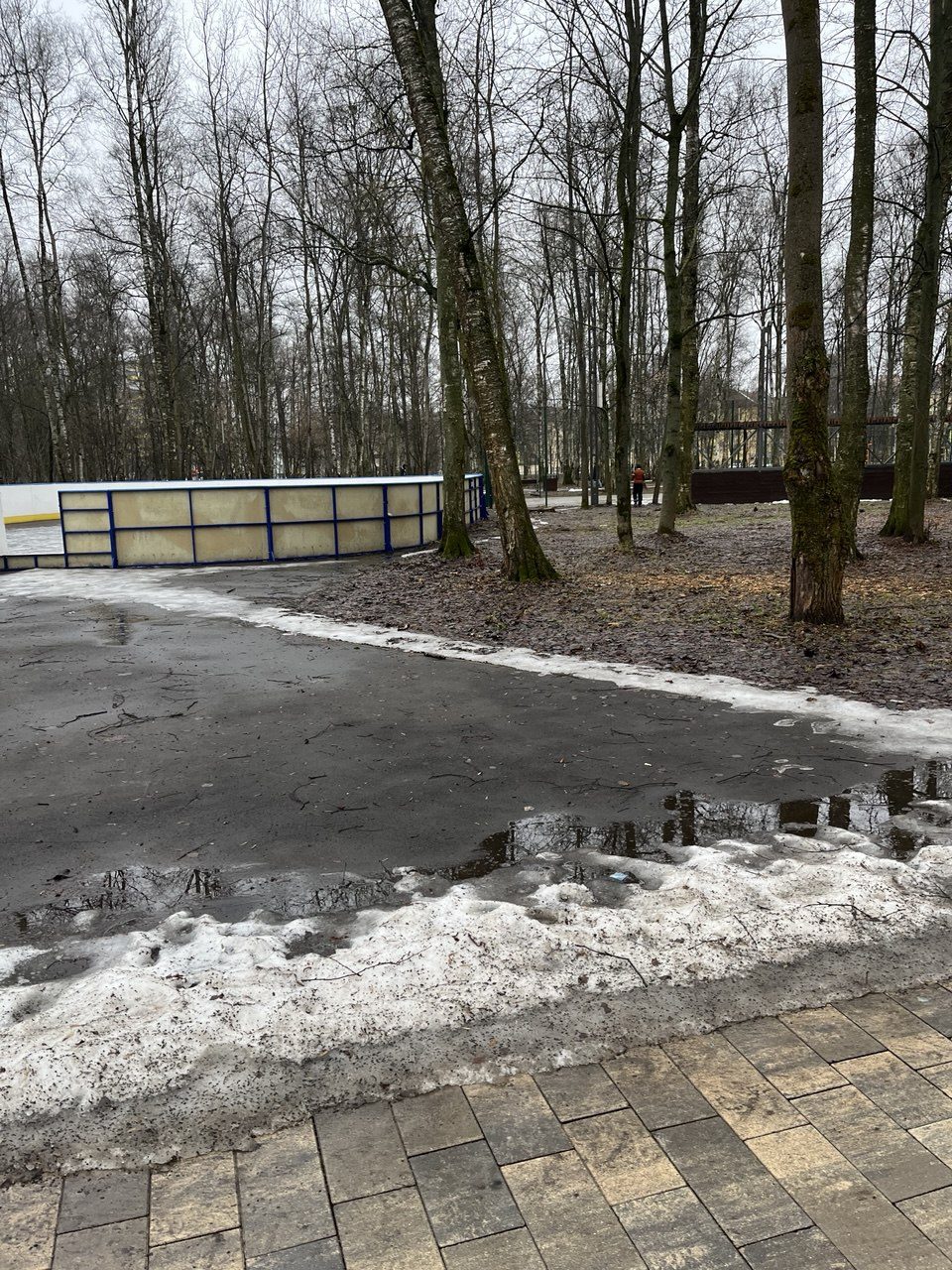 Право на размещение объекта бизнеса на территории парка городского округа Лобня…