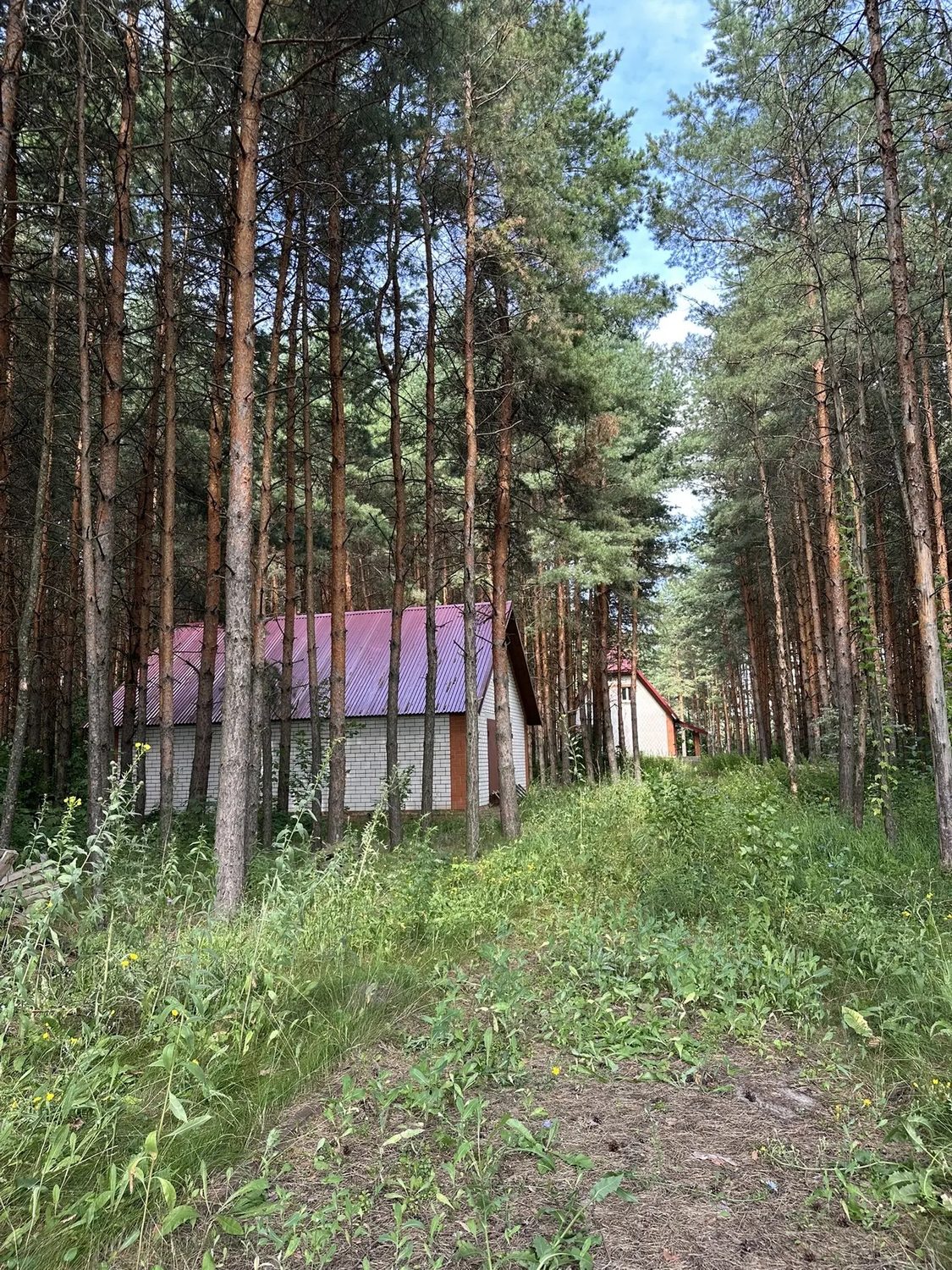земельный участок площадью 18203 кв.м. с кадастровым номером 68:09:3902013:90 (…