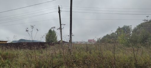 О намерении предоставить в аренду земельный участок