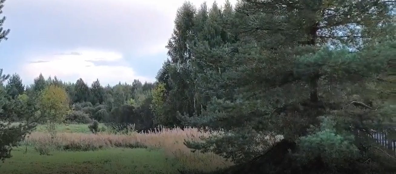 Аукцион в отношении земельного участка с КН 50:25:0000000:31111