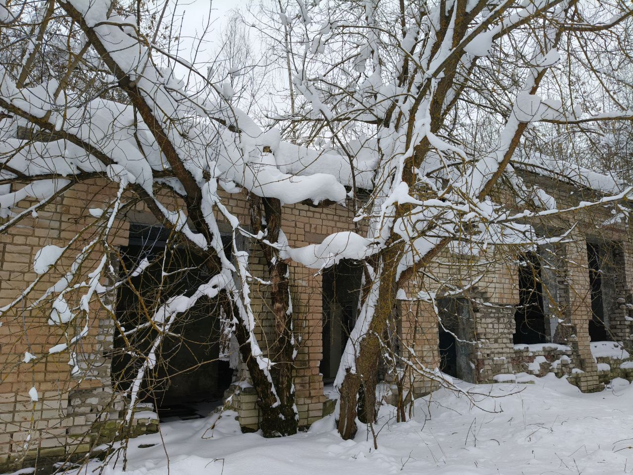 Нежилое здание столовой, площадь - 684,8 кв.м, количество этажей – 1, кадастров…