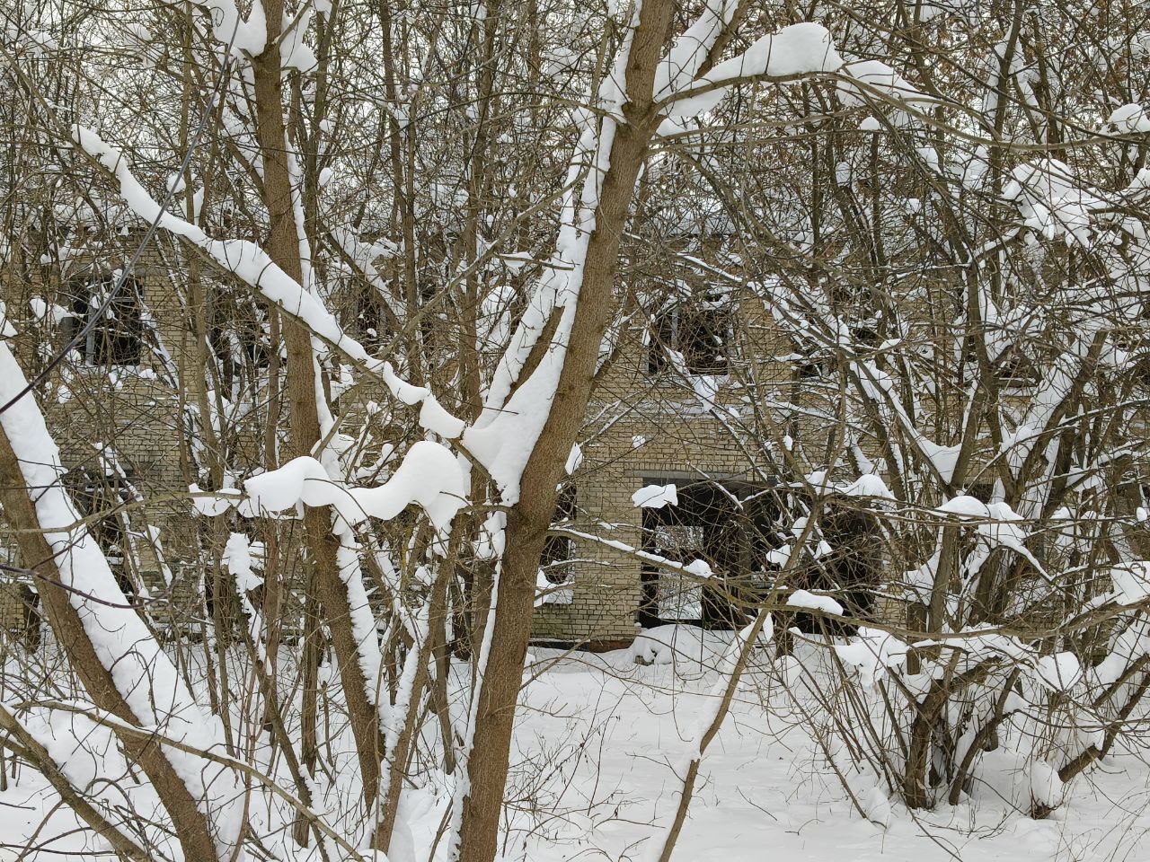 Нежилое здание казармы, площадь - 1000,6 кв.м, количество этажей – 2, кадастров…