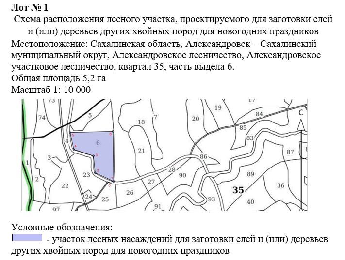 Право заключения договора купли-продажи лесных насаждений для заготовки елей и …