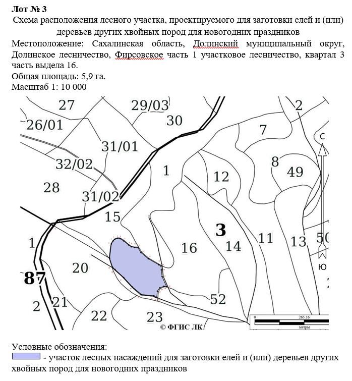 Право заключения договора купли-продажи лесных насаждений для заготовки елей и …