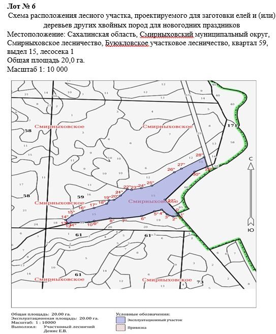 Право заключения договора купли-продажи лесных насаждений для заготовки елей и …