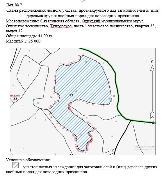 Право заключения договора купли-продажи лесных насаждений для заготовки елей и …