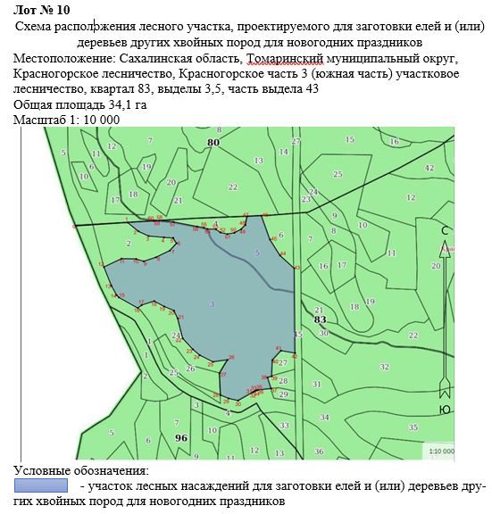 Право заключения договора купли-продажи лесных насаждений для заготовки елей и …
