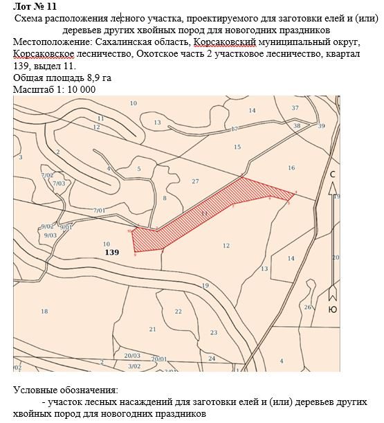 Право заключения договора купли-продажи лесных насаждений для заготовки елей и …