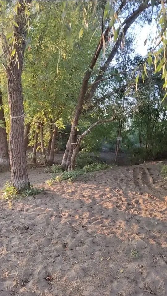 Земельный участок, площадью 10000 кв.м., кадастровый номер: 64:08:020805:240, р…
