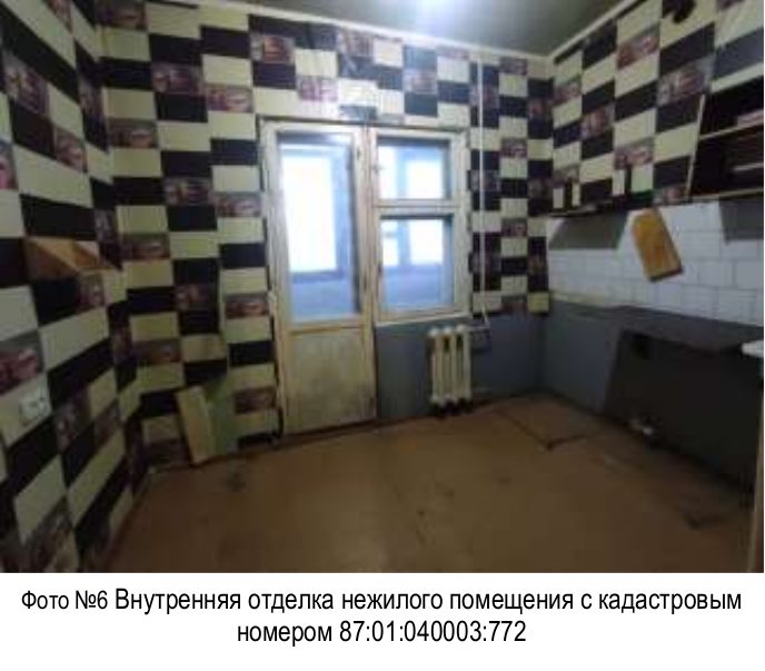 Помещение с кадастровым номером 87:01:040003:772
