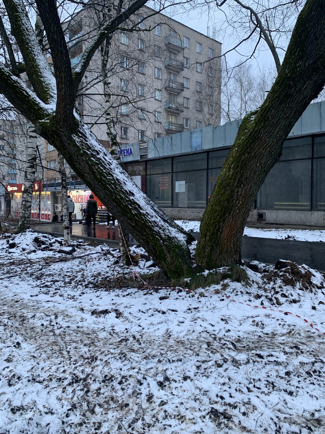 Право заключения договора аренды нежилых помещений, являющихся собственностью г…