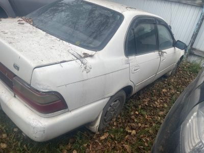 Автомобиль TOYOTA COROLLA, г/н Е816ТС124, 1992 г.в., кузов № СЕ1003012089, двиг…