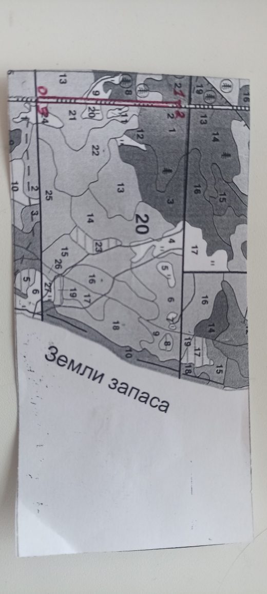 Заготовка новогодних елей и (или) других хвойных пород для новогодних праздников