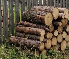Древесина пород ель и пихта, в форме бревен, дров, частей стволов (годные остат…