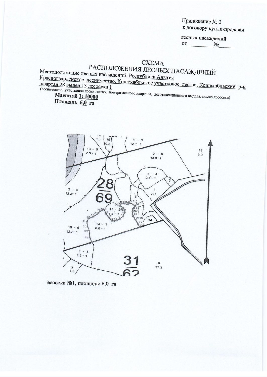 Лесные насаждения