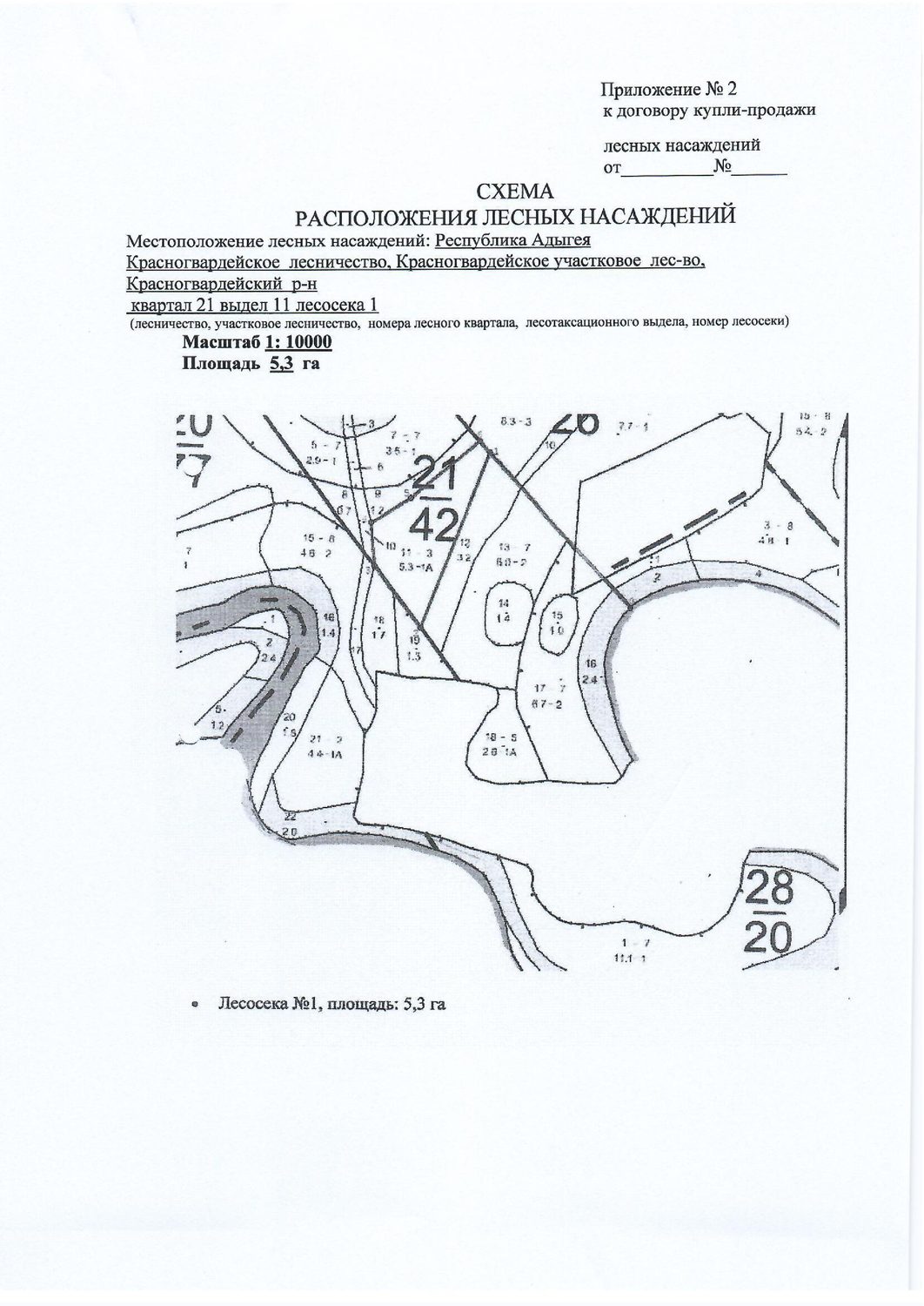 Лесные насаждения