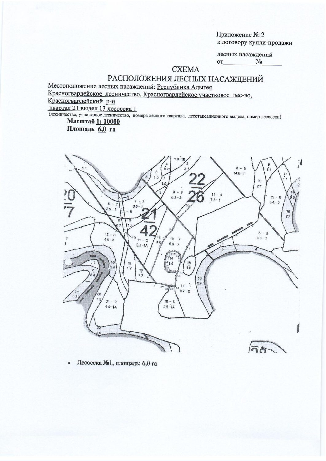 Лесные насаждения